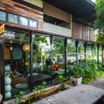 แพ็กเกจล่องแก่งนครนายก 2 วัน 1 คืน พักที่ Meena Villa (มีนา วิลล่า)