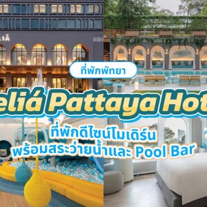 Meliá Pattaya Hotel  (โรงแรม มีเลีย พัทยา) ห้อง ดีลักซ์ 2 ท่าน พัทยา