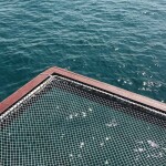 แพ็คเกจทริปล่องเรือไม้ Moana (โมเอน่า) Private Trip สำหรับ 1 - 5 ท่าน และ 8 - 10 ท่าน, พัทยา