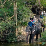 Elephant Trekking and FantasyShow @Mongchang Cafe, Pattaya