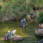 Elephant Trekking and FantasyShow @Mongchang Cafe, Pattaya