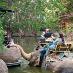 Elephant Trekking and FantasyShow @Mongchang Cafe, Pattaya