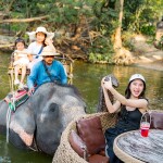 Elephant Trekking and FantasyShow @Mongchang Cafe, Pattaya