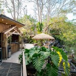 Elephant Trekking and FantasyShow @Mongchang Cafe, Pattaya