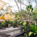 Elephant Trekking and FantasyShow @Mongchang Cafe, Pattaya