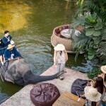 Elephant Trekking and FantasyShow @Mongchang Cafe, Pattaya