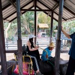 Elephant Trekking and FantasyShow @Mongchang Cafe, Pattaya