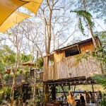 Elephant Trekking and FantasyShow @Mongchang Cafe, Pattaya