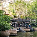 Elephant Trekking and FantasyShow @Mongchang Cafe, Pattaya