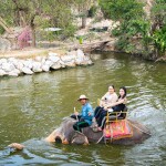Elephant Trekking and FantasyShow @Mongchang Cafe, Pattaya