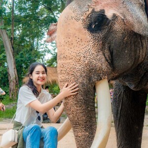 Elephant Trekking and FantasyShow @Mongchang Cafe, Pattaya