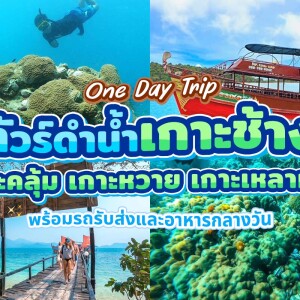 One Day Trip เกาะช้าง (จอยทริป) : ทัวร์ดำน้ำ 3 เกาะ+ตกปลา เกาะคลุ้ม เกาะหวาย เกาะเหลาหยา+อาหารกลางวัน+รถรับ-ส่ง