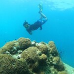 One Day Trip Koh Chang (Join Tour) : 3-Island Snorkeling + Fishing Tour at Koh Kluem, Koh Wai, and Koh Lao Ya + Lunch + Hotel Transfer