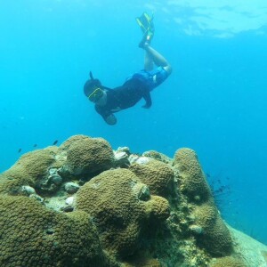 One Day Trip Koh Chang (Join Tour) : 3-Island Snorkeling + Fishing Tour at Koh Kluem, Koh Wai, and Koh Lao Ya + Lunch + Hotel Transfer