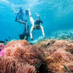One Day Trip - Koh Chang (Join Tour) : Snorkeling at 4 Islands : Koh Yak Lek, Koh Yak Yai, Koh Rang, Koh Mapring Includes: Lunch + Hotel Transfer