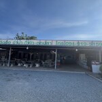 Samaesan Squid Fishing - Fishing Trip by Private Speedboat (1-6 Persons) · Sattahip, Chonburi