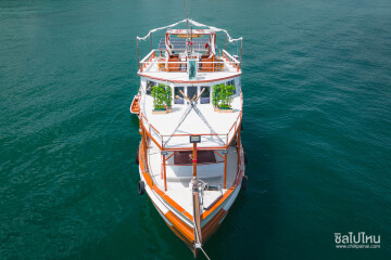 One Day Trip ล่องเรือไม้สุดหรู ตกหมึก + ตกปลา 4 ชั่วโมง (จอยทริป) , พัทยา