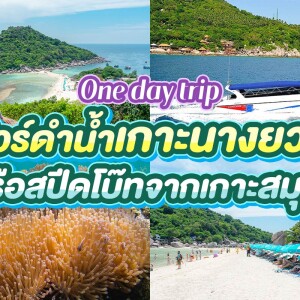 One Day Trip (Join) Koh Tao & Koh Nangyuan by Speedboat
