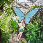 Nana Resort Kaeng Krachan (นาน่า รีสอร์ท แก่งกระจาน) ห้อง Deluxe 2 ท่าน, แก่งกระจาน