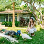 Nana Resort Kaeng Krachan (นาน่ารีสอร์ท แก่งกระจาน) ห้อง Deluxe Room แก่งกระจาน