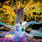 (1แถม 1) บัตรเข้าชมงาน Nasatta Light Festival Winter Illumination 2024 สำหรับ 1 ท่าน , ณ สัทธา ราชบุรี