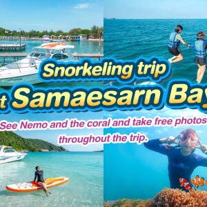 [From Pattaya] Snorkeling trip at Samaesarn Bay for 6 people by speedboat (Pets Friendly)