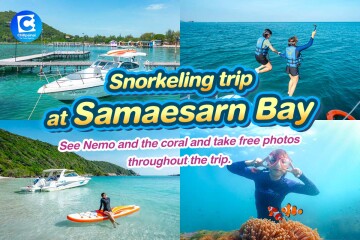 [From Samaesan] Snorkeling trip at Samaesarn Bay for 6 people by speedboat (Pets Friendly)