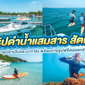 ทริปดำน้ำแสมสาร สัตหีบ สำหรับ 6 ท่าน เรือสปีดโบ้ท, สัตหีบ ชลบุรี