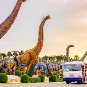 Package ทัวร์ชมหุบเขาไดโนเสาร์ที่ Nongnooch Garden Pattaya พร้อมคนขับสำหรับ 1 ท่าน,พัทยา