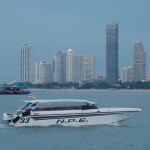 Octopus Cafe Pattaya by N.P.E