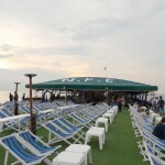 Octopus Cafe Pattaya by N.P.E