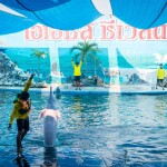 บัตร Day Pass โอเอซีส ซีเวิลด์ (Oasis Sea World) , จันทบุรี