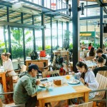 เรือสปีดคาตามารัน One Day Trip ทัวร์ หมู่เกาะสิมิลัน + อาหาร 3 มื้อ + รถรับ-ส่ง