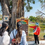 [จากกรุงเทพ] (Join) ทัวร์อยุธยาเต็มวัน : พระราชวังฤดูร้อนและวัดต่างๆ