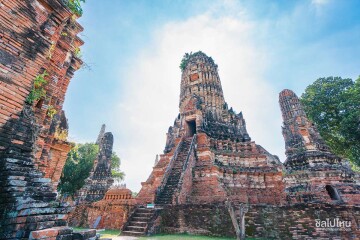 Ayutthaya Temples & Café Tour · Private Car · from Bangkok