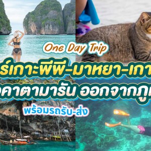 [From Phuket] Speed Catamaran : One Day Trip Phi Phi + Maya + Khai Islands with transfer