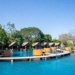 [From Bangkok]  Private Nakhon Pathom Cafe hopping tour with round trip hotel transfer