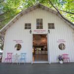 [From Bangkok]  Private Nakhon Pathom Cafe hopping tour with round trip hotel transfer