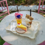 [From Bangkok]  Private Nakhon Pathom Cafe hopping tour with round trip hotel transfer