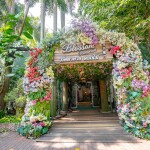 Safari World Bangkok Tour · Private Car