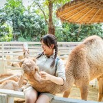 One Day Trip (Private) Safari World with transfer, Bangkok