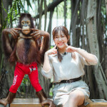 One Day Trip (Join) Safari World with transfer, Bangkok