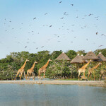 One Day Trip (Join) Safari World with transfer, Bangkok