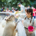 One Day Trip (Join) Safari World with transfer, Bangkok