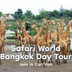 Safari World Bangkok Tour · Join In Car/Van