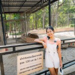 [From Bangkok] Safari Kanchanaburi with Meena Cafe or Village Farm Cafe