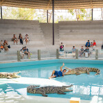 [From Bangkok] Safari Kanchanaburi with Meena Cafe or Village Farm Cafe