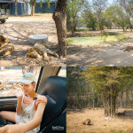 [From Bangkok] Safari Kanchanaburi with Meena Cafe or Village Farm Cafe