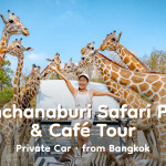 Kanchanaburi Safari Park & Café Tour · Private Car · from Bangkok