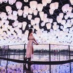 บัตรเข้าชม PADO MEDIA ART SPACE พัทยา